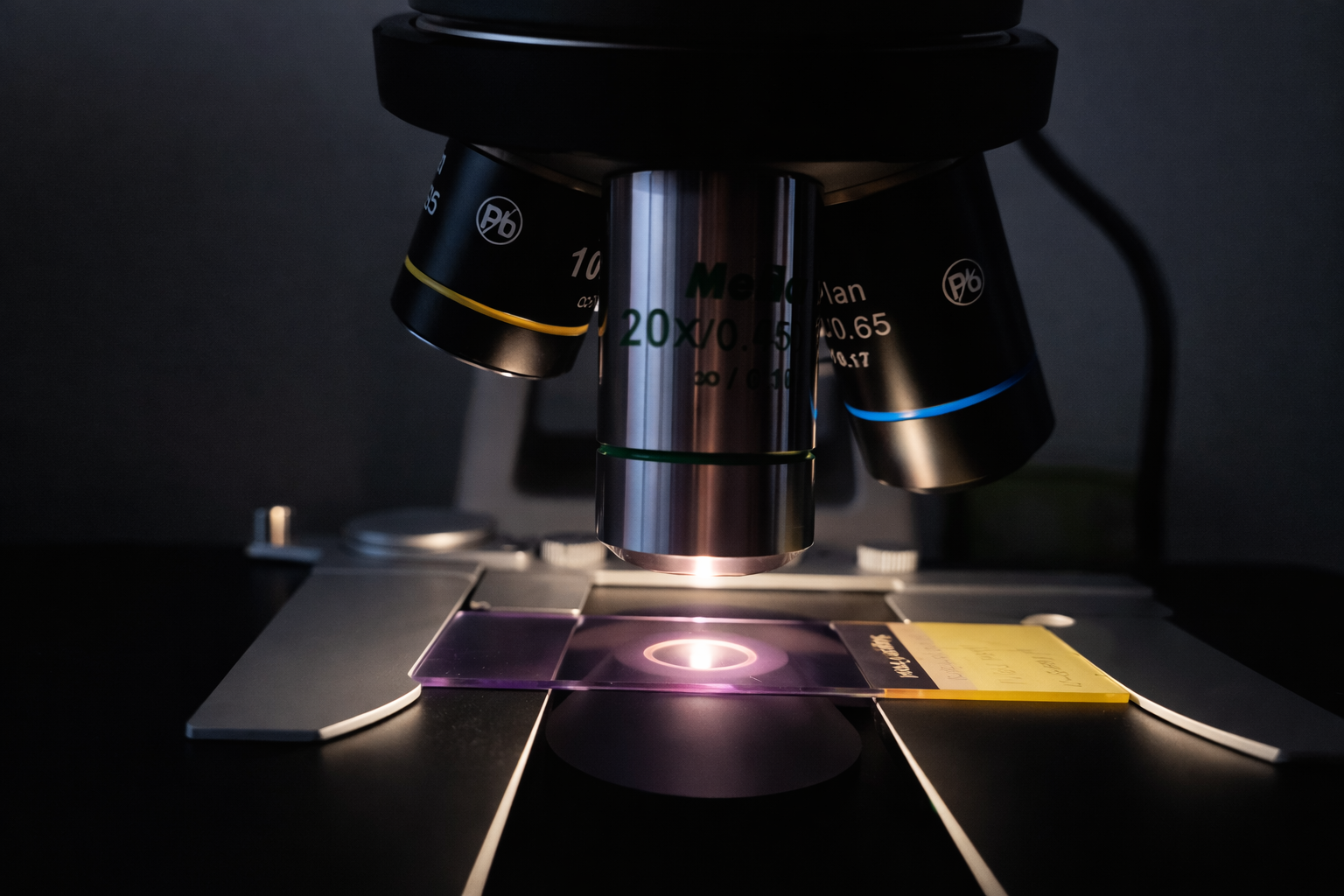 Microscope imaging